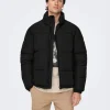 Hombre Emilio Iglesias Parka acolchada lisa, Only&Sons